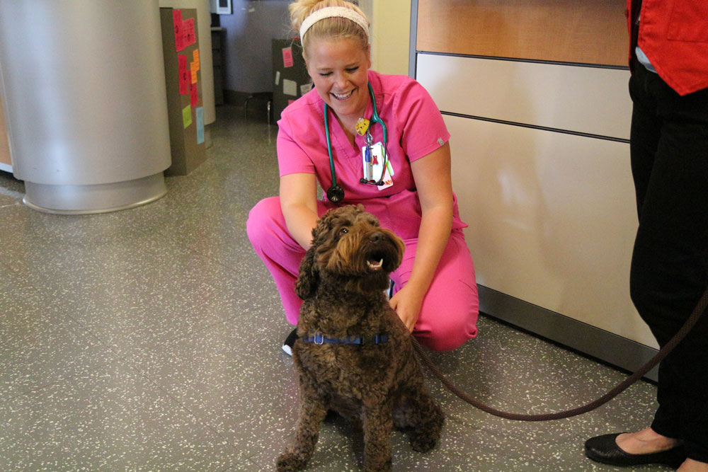 Kenny, the UVA School of Nursing's official therapy dog, visits with a nurse at the UVA Medical Center