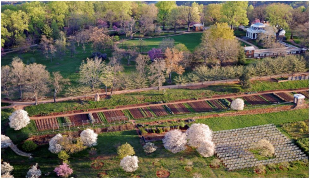 Aerial view of enslaved area at Monticello