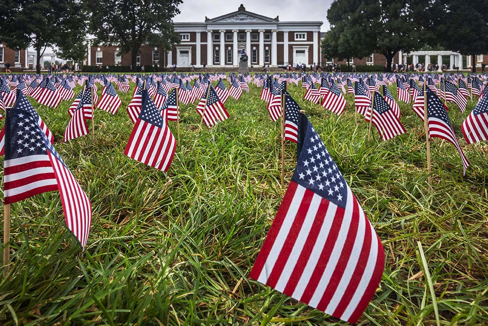 Veterans Day American flags on the Lawn