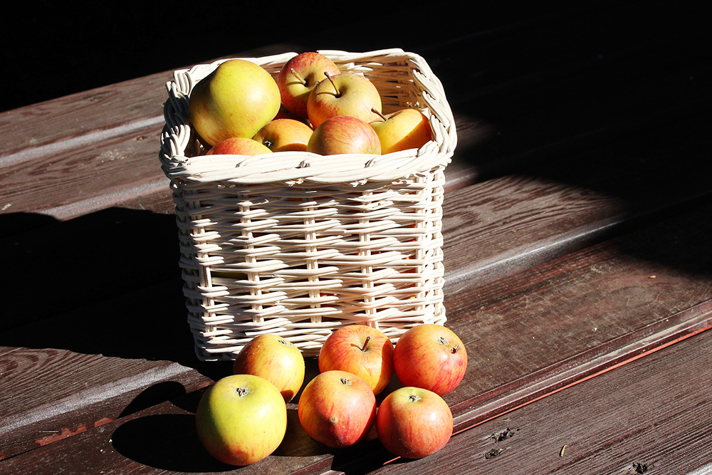 apple basket