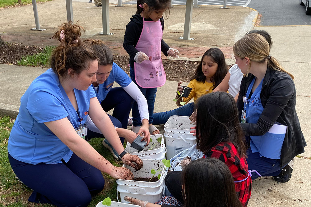 nursing students and Friendship court kids transplant their bucket gardens