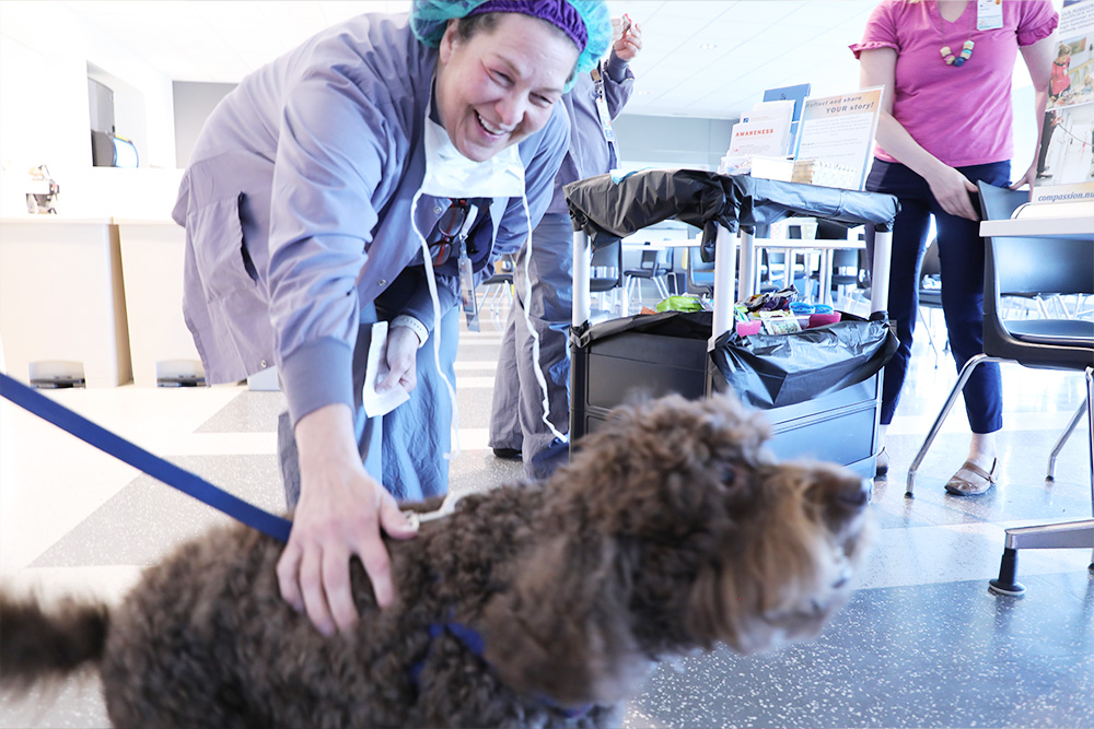 A TCVICU nurse pets kenny the therapy dog with the cci cart